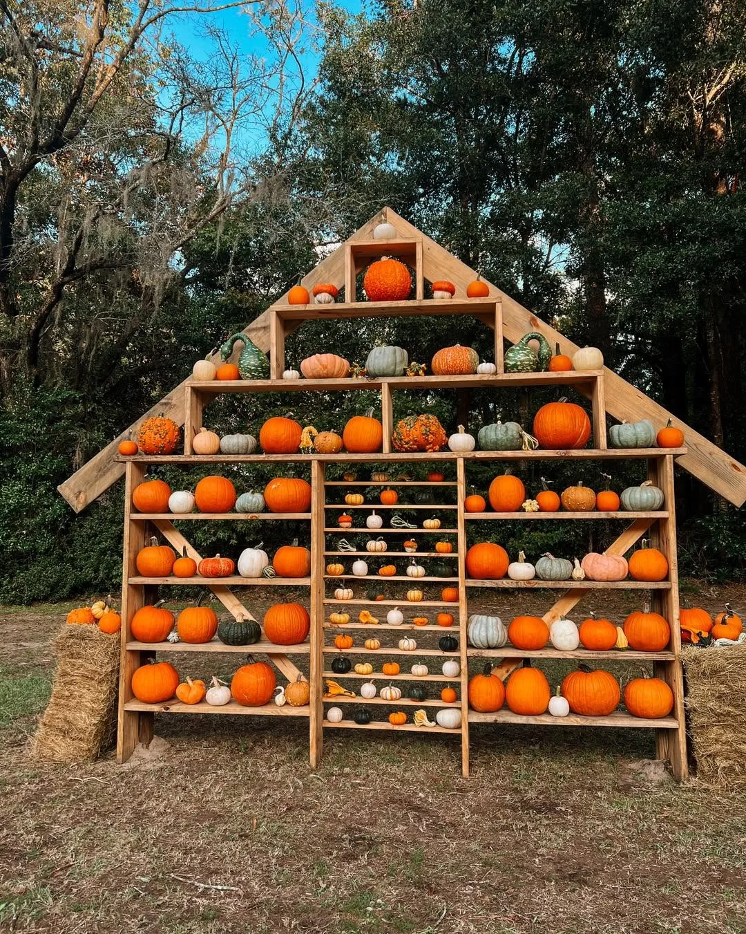 Decorative pumpkin display with dozens of pumpkins and gourds